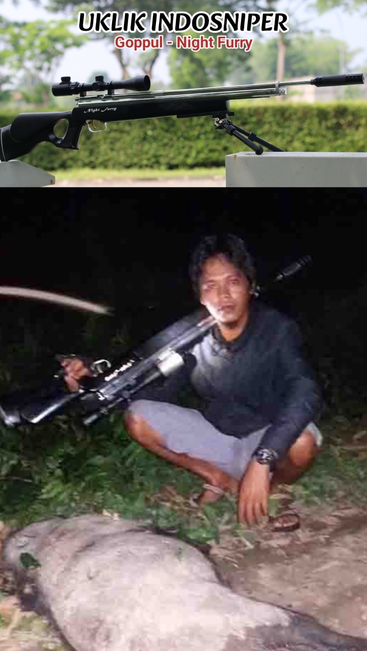 Berapa Meter Jarak Tembak Senapan Angin? Rahasia Akurasi Goppul � Night Furry Karya Anak Bangsa